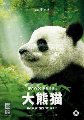 大熊猫资料 影院热映 全集