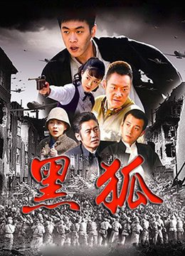 黑狐影院 完整版观看 已完结