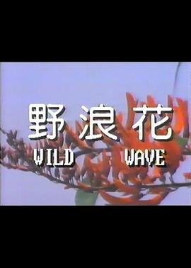 野浪花 手机在线 高清国语