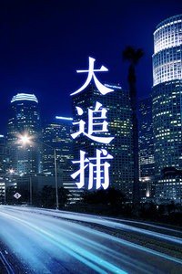 大追捕电视剧 免费播放 连载中