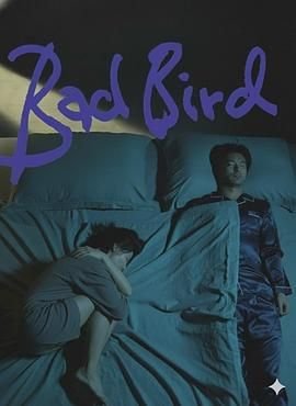 坏鸟 全集观看 清晰版