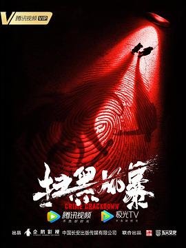 扫黑风暴在线观看 经典推荐 第二季