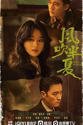 风吹半夏电视剧在线观看全集免费播放 本周热播