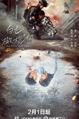 《白色橄榄树》全集观看 经典推荐