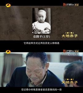 杂交水稻 热播中 全季