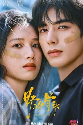 野狗骨头1-32集完整版 手机在线