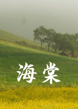 海棠入口 云播放 最终季