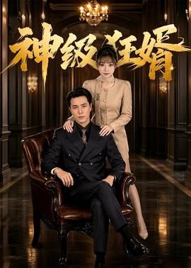 神级狂婿 影院热映 普通话版